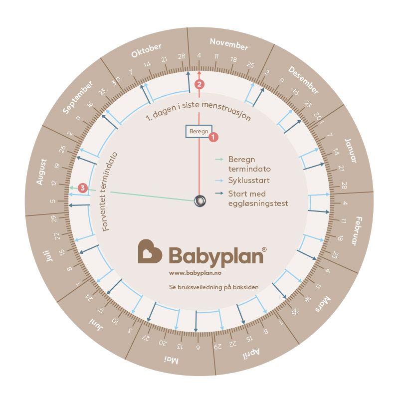 Babyplan Terminberegner